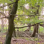 Accommodatie bij particulieren Nyopfort Luksusvaerelse I Naturskonne Og Rolige Omgivelser *