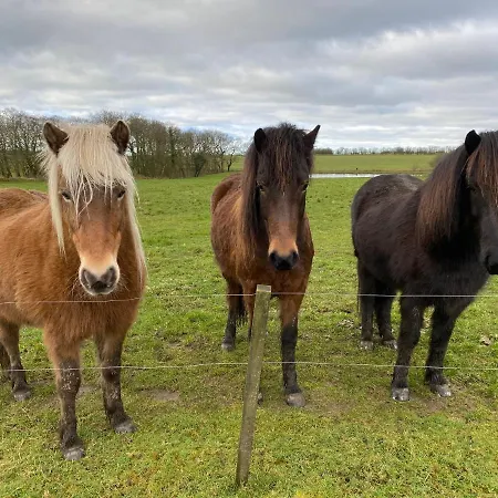 Accommodatie bij particulieren Nyopfort Luksusvaerelse I Naturskonne Og Rolige Omgivelser Branderup