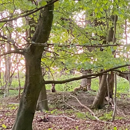 ホームステイ Nyopfort Luksusvaerelse I Naturskonne Og Rolige Omgivelser *