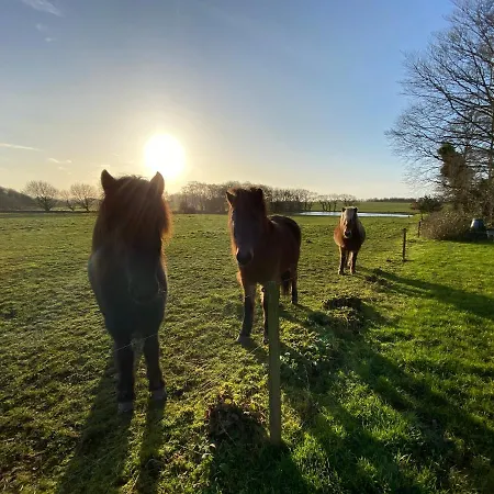 Nyopfort Luksusvaerelse I Naturskonne Og Rolige Omgivelser