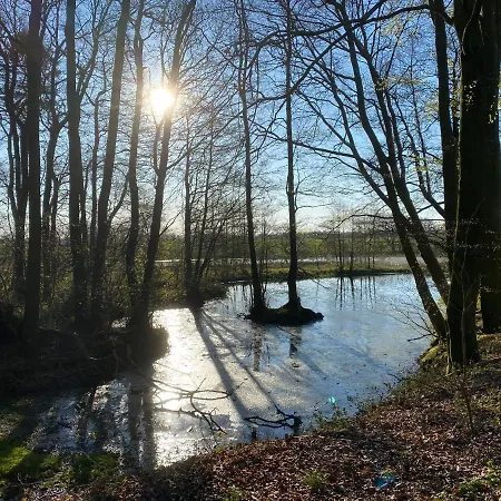 ホームステイ Nyopfort Luksusvaerelse I Naturskonne Og Rolige Omgivelser Branderup