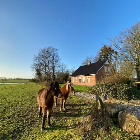 Nyopfort Luksusvaerelse I Naturskonne Og Rolige Omgivelser